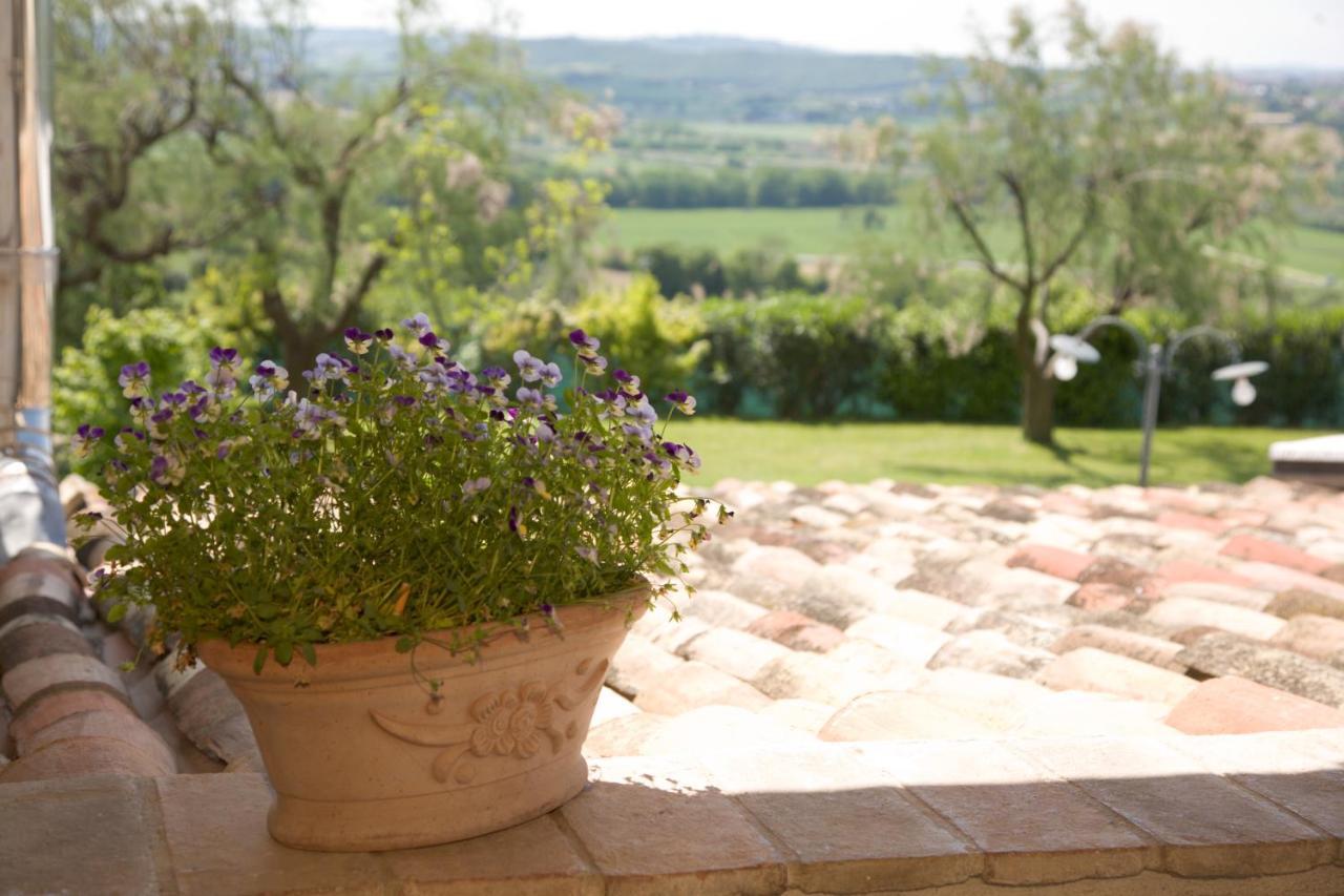 Il Girasole Country House Camerano Kültér fotó